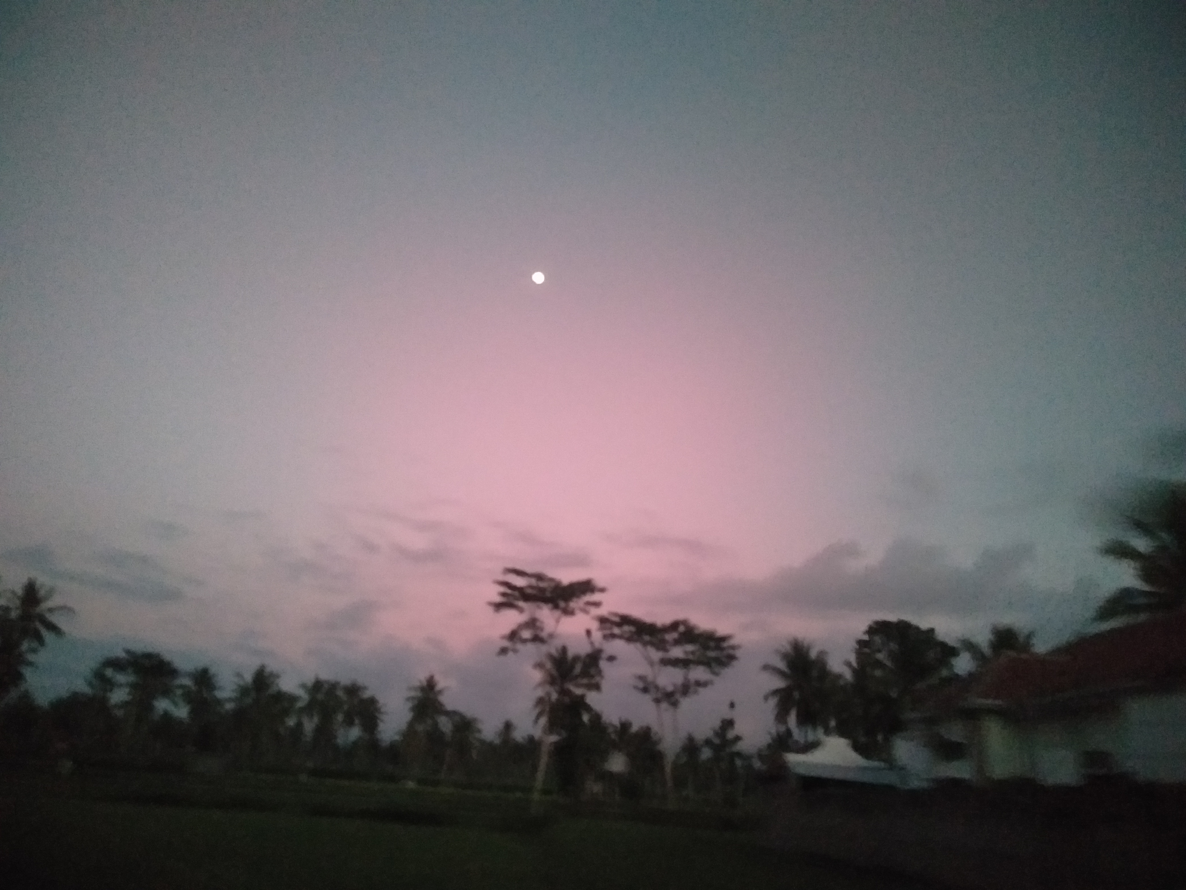 IMG20180928050817