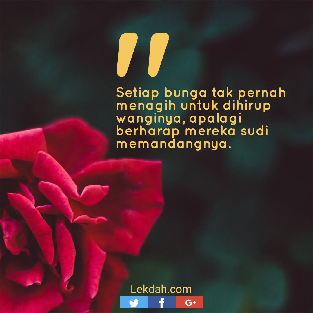 quote20181124084727